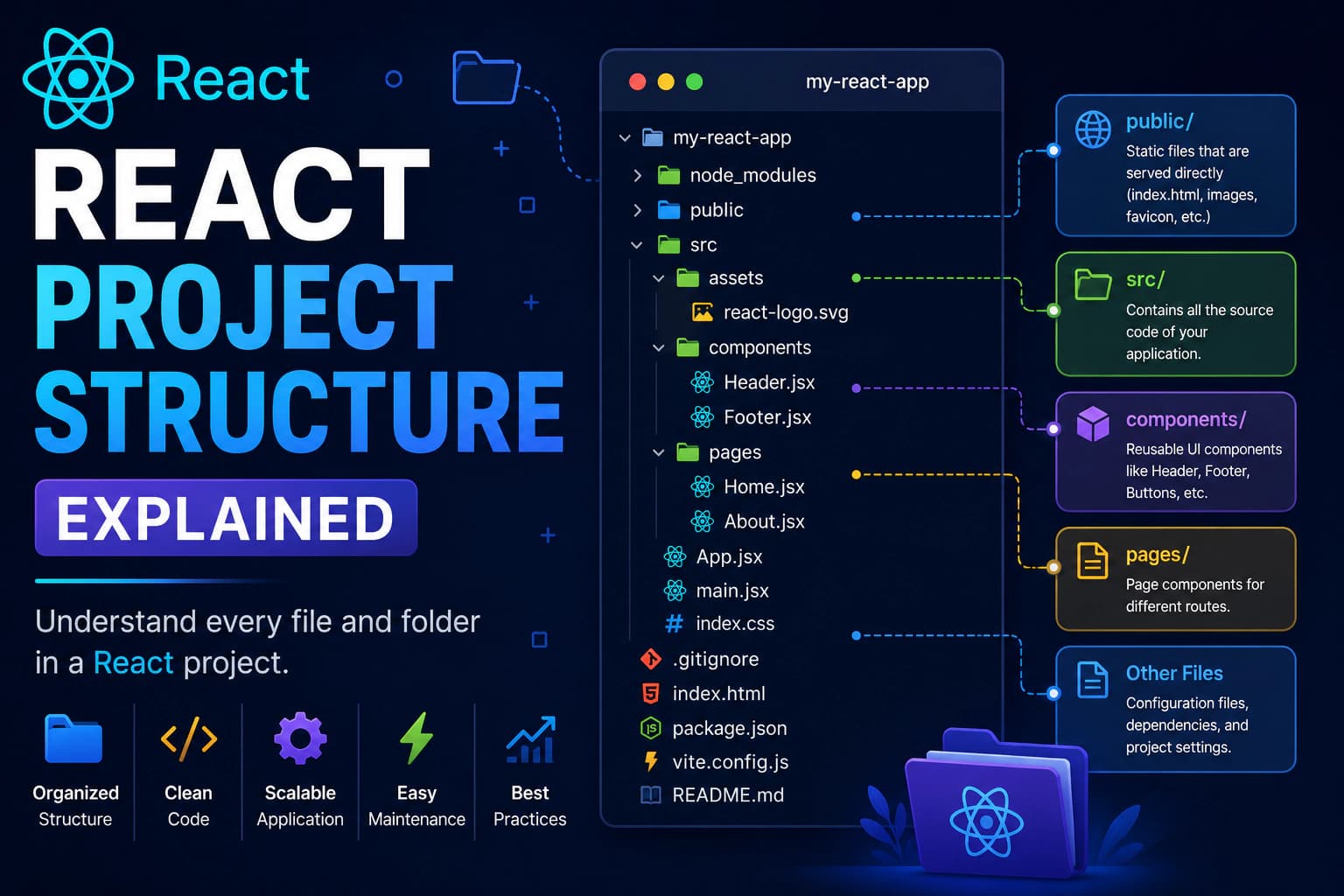 React Project Structure Explained (Complete Beginner's Guide)